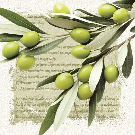 PAW Χαρτοπετσέτα Σετ 20 τμχ