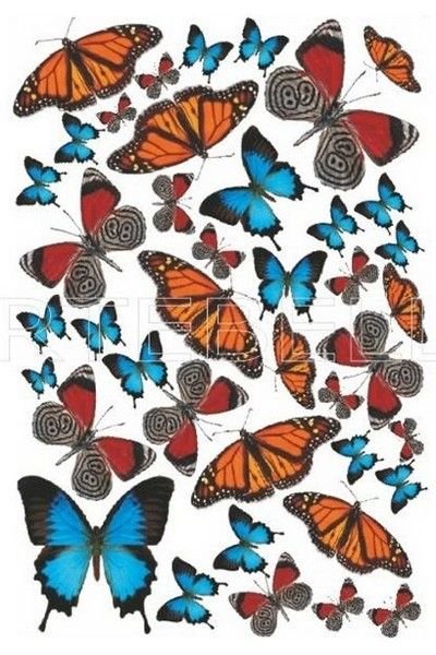 SOFT TRANSFER 23X34 943V ARTEBELLA