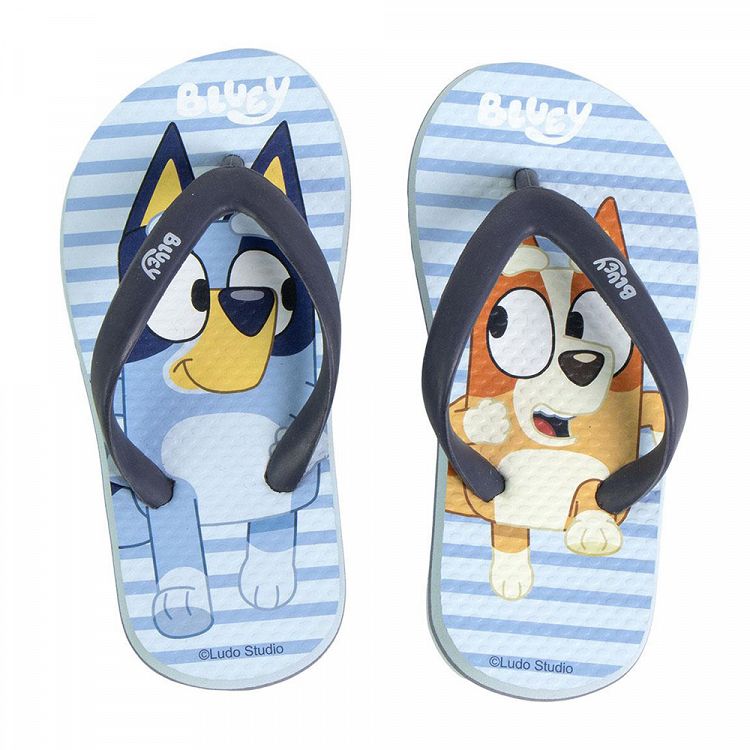 Παντόφλες Flip Flops σε 4 Μεγέθη (24/25+26/27+28/29+30/31) από EVA BLUEY - Σετ με 12τμχ