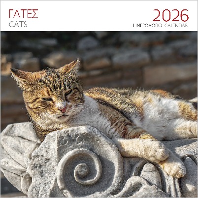 ΕΠΙΤΟΙΧΙΟ ΗΜΕΡΟΛΟΓΙΟ 2026 : ΓΑΤΕΣ ΚΑΦΕ