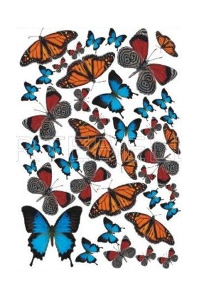 SOFT TRANSFER 23X34 943K ARTEBELLA