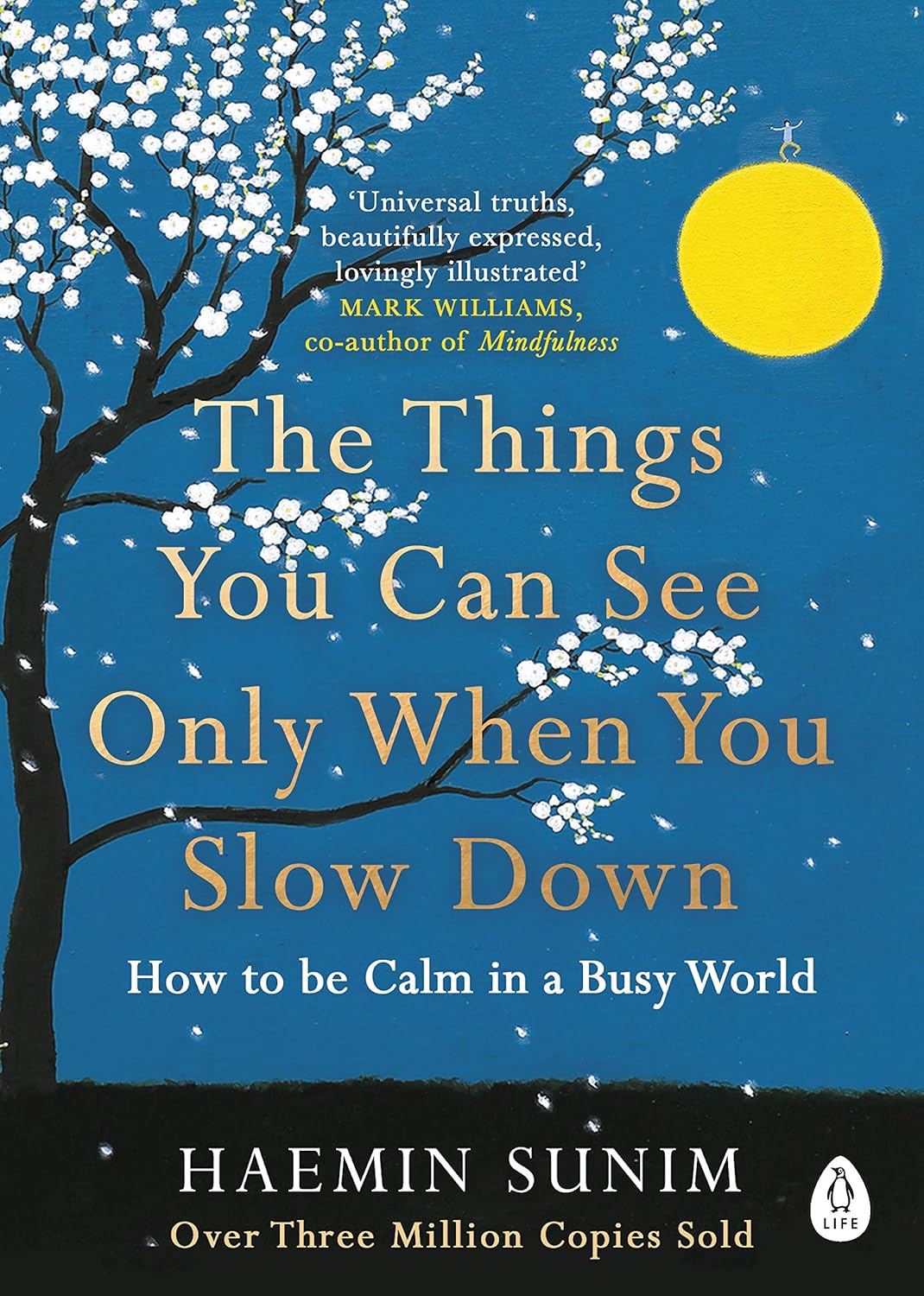 THE THINGS YOU CAN SEE WHEN YOU SLOW DOWN :HOW TO BE CALM IN A BUSY WORLD