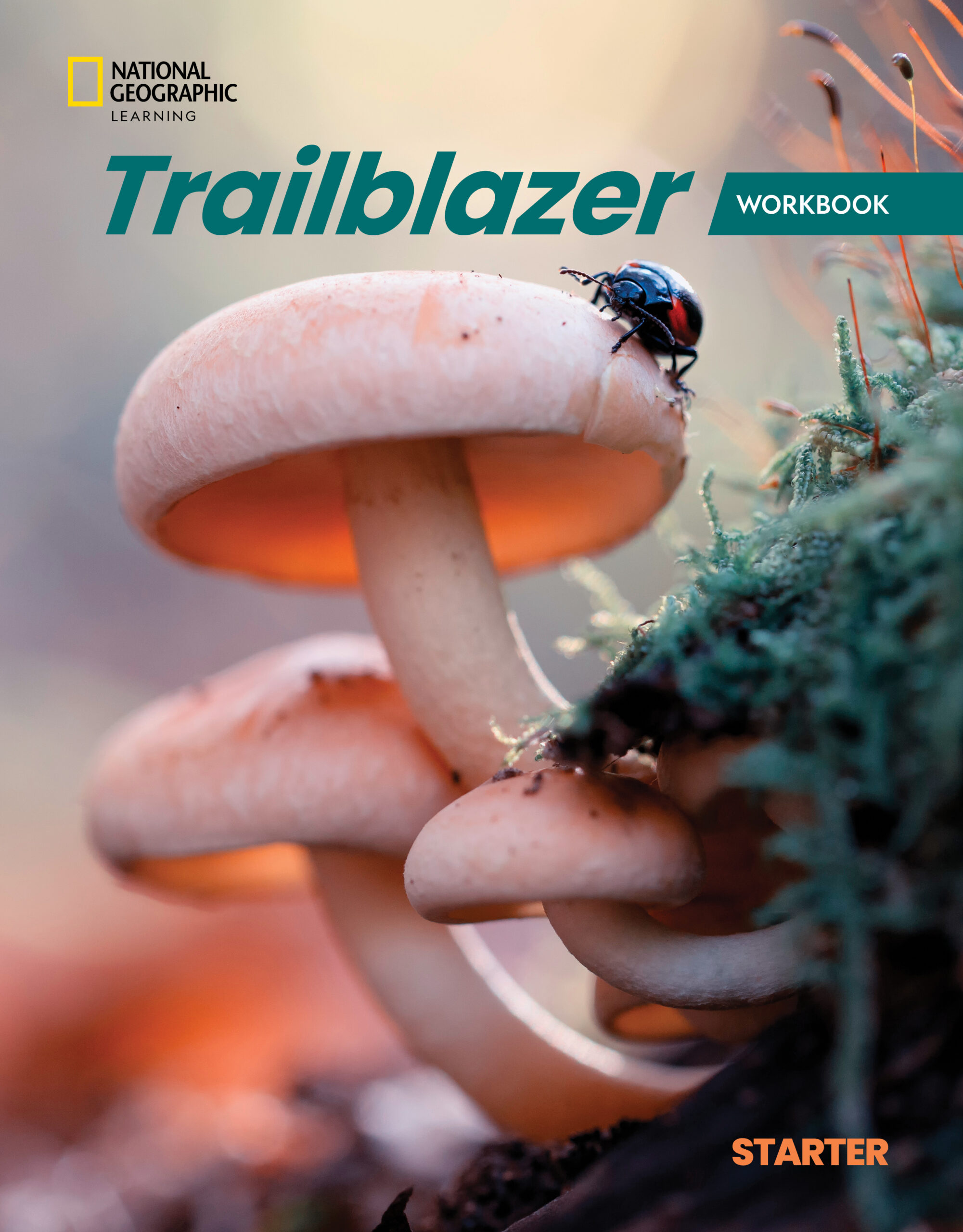 TRAILBLAZER STARTER WB