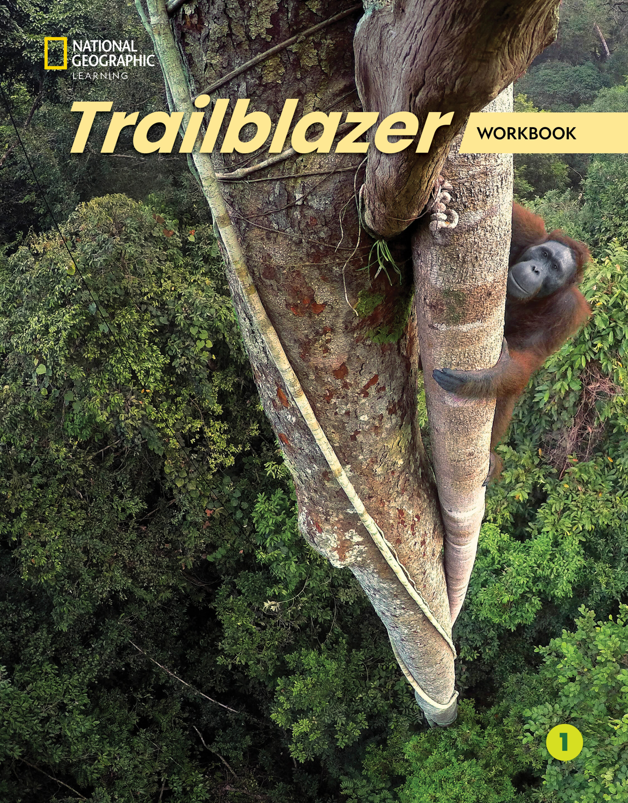 TRAILBLAZER 1 WB