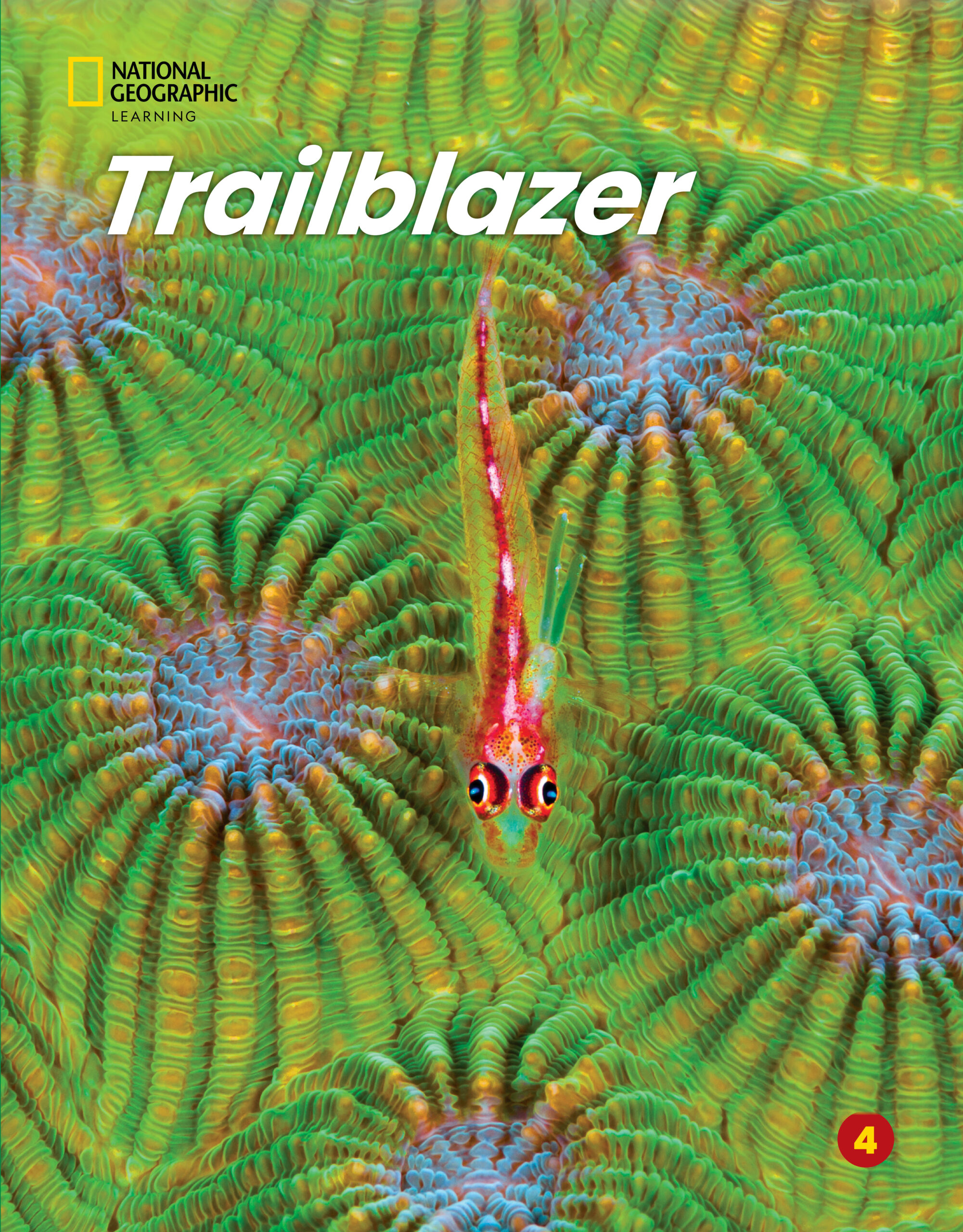 TRAILBLAZER 4 SB ( + SPARK)