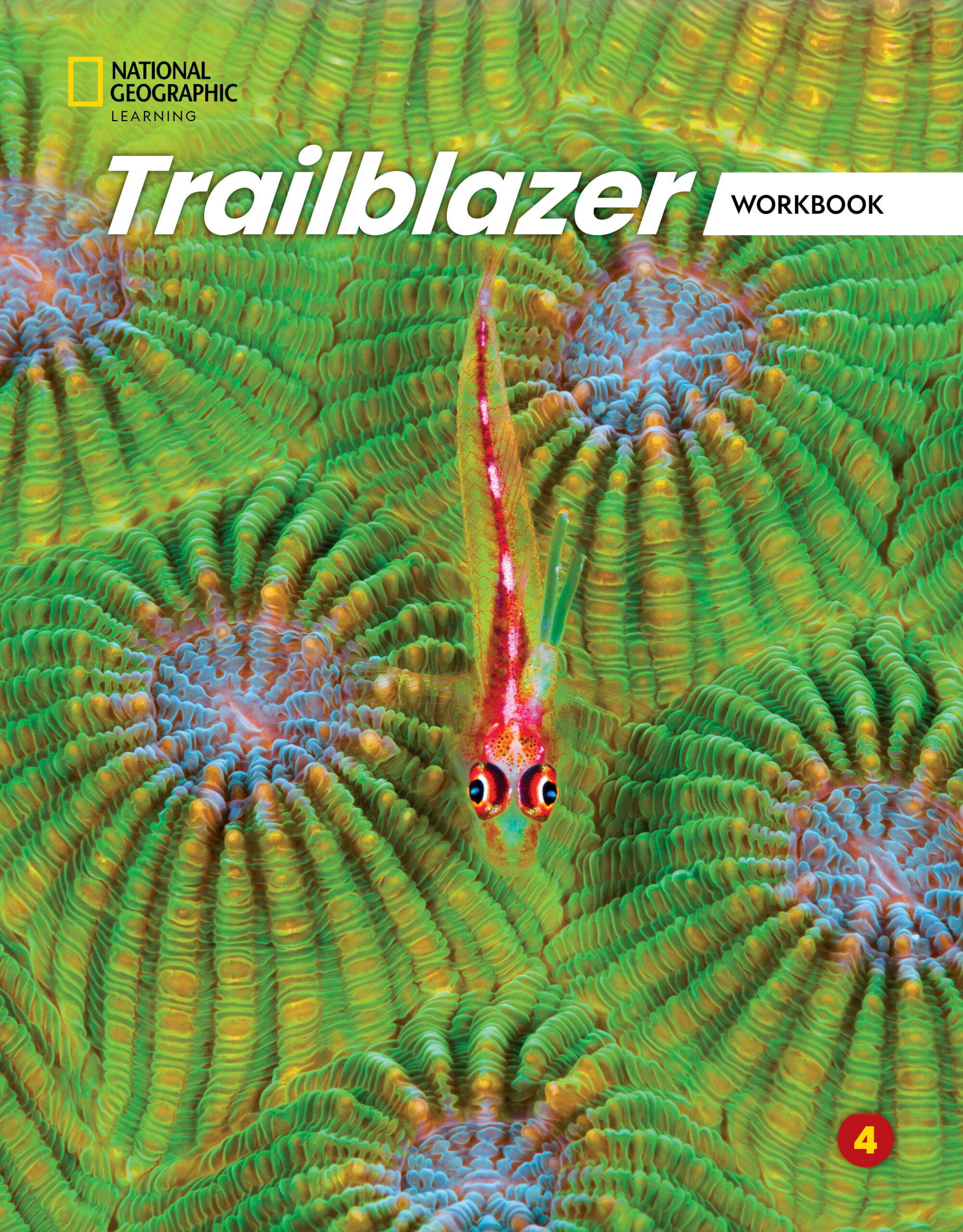 TRAILBLAZER 4 WB