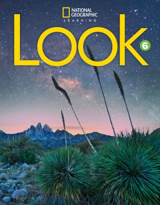 LOOK 6 SB ( + SPARK) AMER. ED