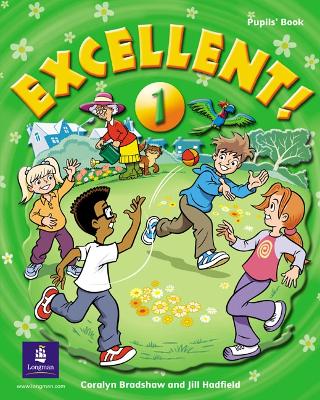 EXCELLENT 1 SB