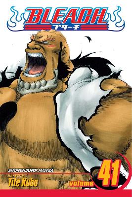 BLEACH 41 PA