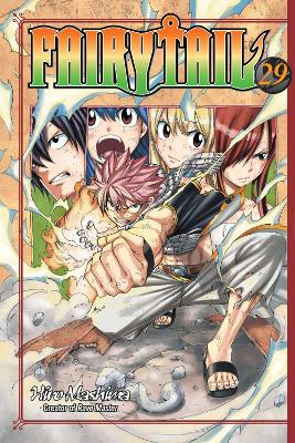 FAIRY TAIL GN VOL 29 (C: 1-1-1)