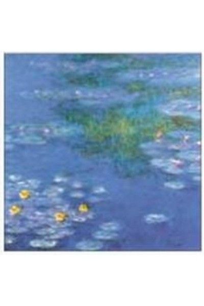 ΧΑΡΤΟΠΕΤΣΕΤΑ 33X33 L435400 - ΣΥΣΚΕΥΑΣΙΑ 20τμχ