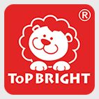 TopBright Toys