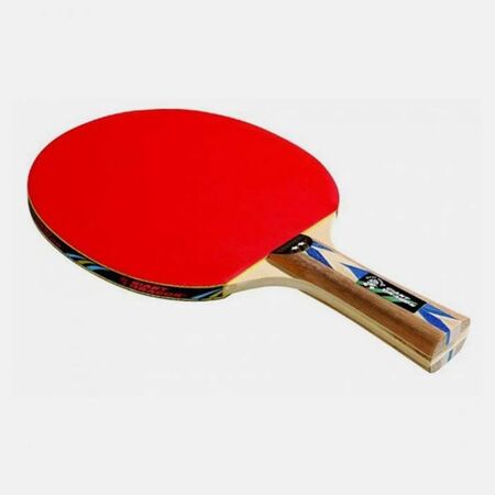 Αθλοπαιδιά Ρακέτα Ping Pong 2 Αστέρια