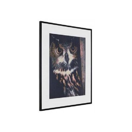 Diamond Painting Owl 40x50cm