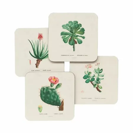 Erik Σουβέρ Botanical Cacti By Kokonote 4 Τεμάχια