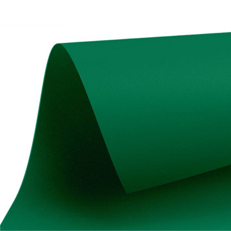 Favini Χαρτόνι Κάνσον Κυπαρισσί Νο117 50x70cm 220gr