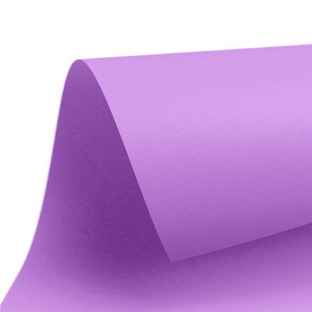 Favini Χαρτόνι Κάνσον Λιλά Νο124 50x70cm 220gr