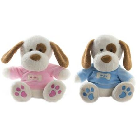 ΠΑΙΧΝΙΔΙ ΚΟΥΚΛΑ ΑΓΚΑΛΙΤΣΑΣ ΠΟΛΥΕΣΤΕΡ 20Χ20Χ30 30 CM ΣΚΥΛΟΣ 2 ΜΟΔ.