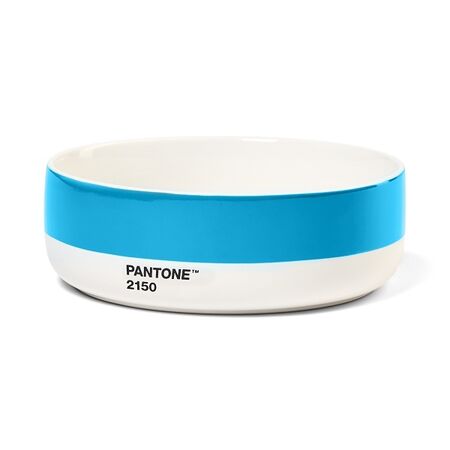 PANTONE™ - ΜΠΟΛ - ΓΑΛΑΖΙΟ 2150