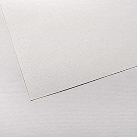 ΧΑΡΤΟΝΙΑ CANSON INGRES 50X65 100gr WHITE