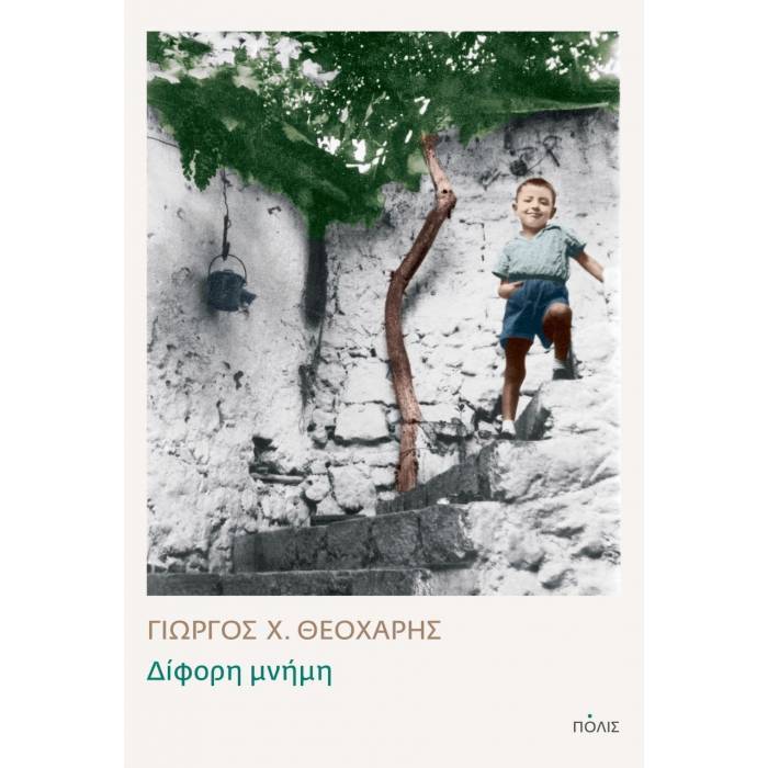 Δίφορη Μνήμη