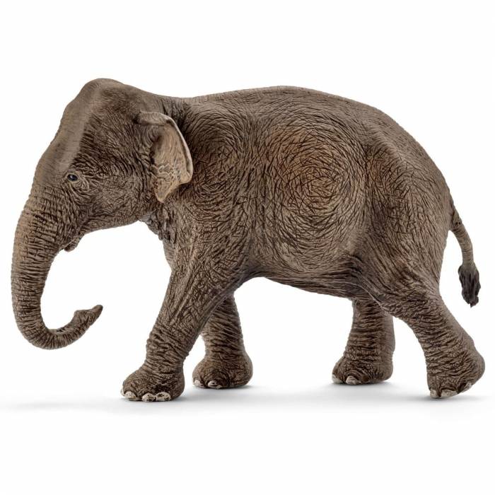 Schleich Μινιατούρα Ελέφαντας Ασιατικός Θηλυκός