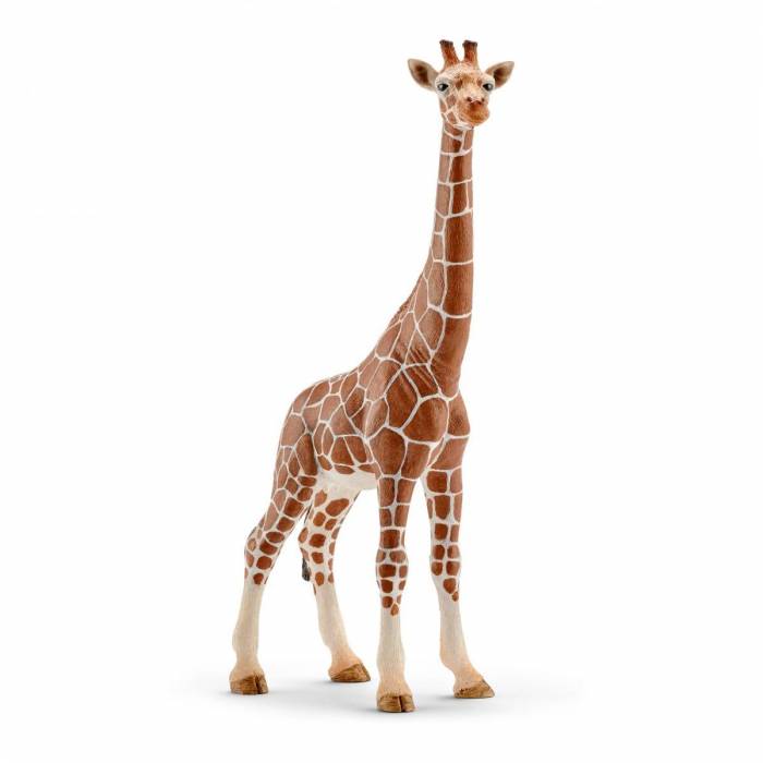 Schleich Μινιατούρα Καμηλοπάρδαλη Θηλυκή